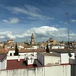 Atico De La Catedral Con Terraza Privada